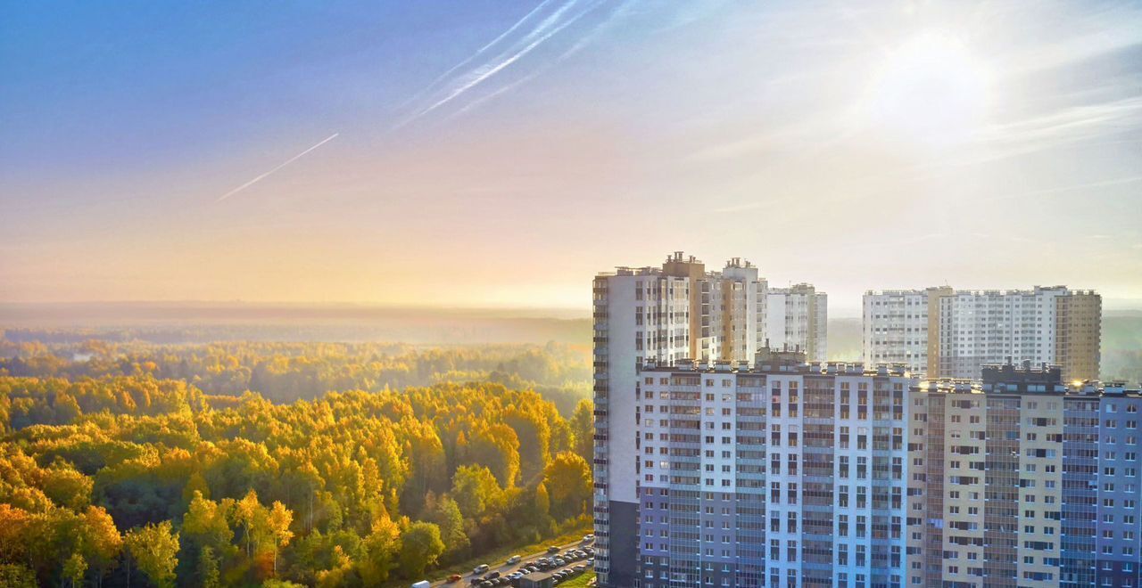 квартира г Санкт-Петербург р-н Красногвардейский пр-кт Пискарёвский 347/1 дор Муринская фото 16
