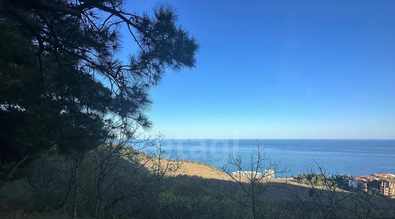 земля г Алушта с Лазурное фото 5