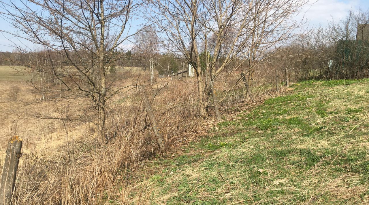 офис городской округ Пушкинский д Никольское фото 1