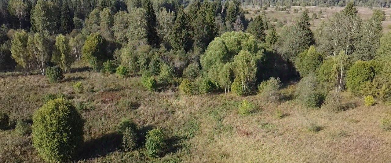 офис городской округ Волоколамский д Чернево фото 3