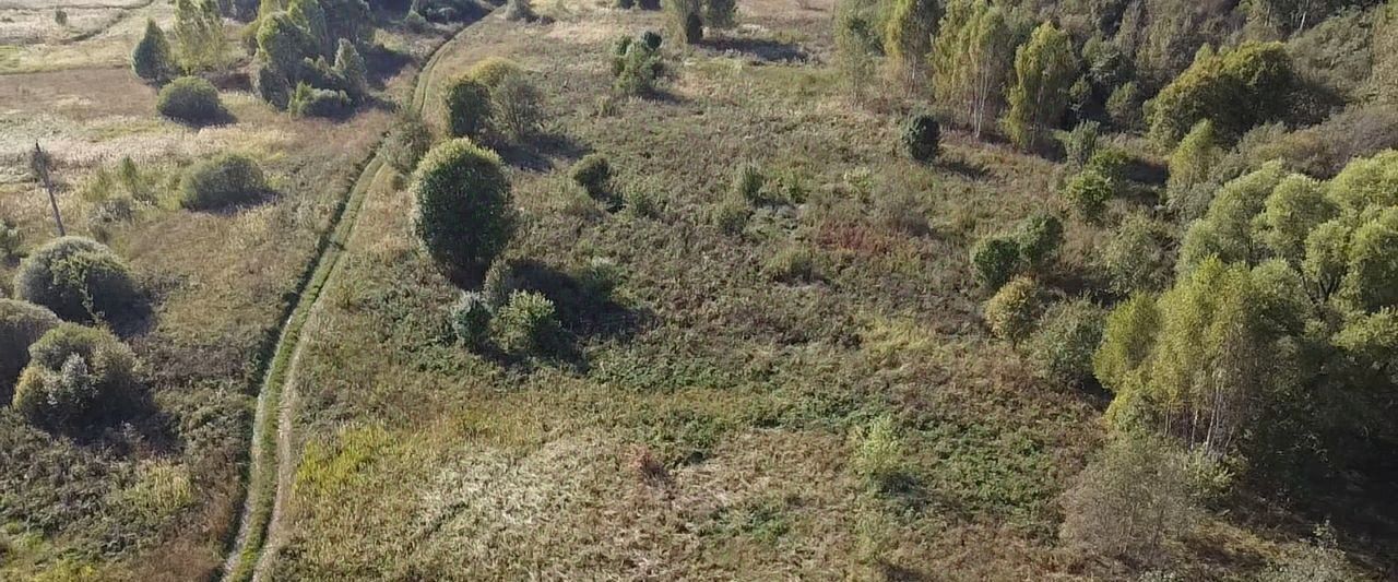 офис городской округ Волоколамский д Чернево фото 4