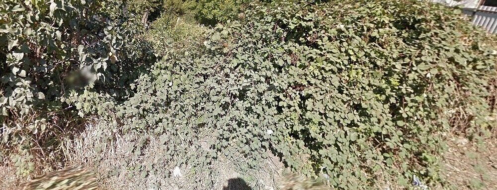 земля г Ставрополь садовое товарищество Арония, улица Арония-1 фото 5