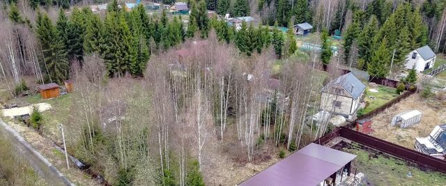 Лисинское с/пос, 14-я линия, Рынделево садоводческий массив фото