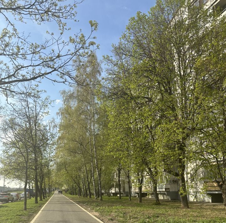 квартира г Москва метро Орехово проезд Шипиловский 69 фото 33