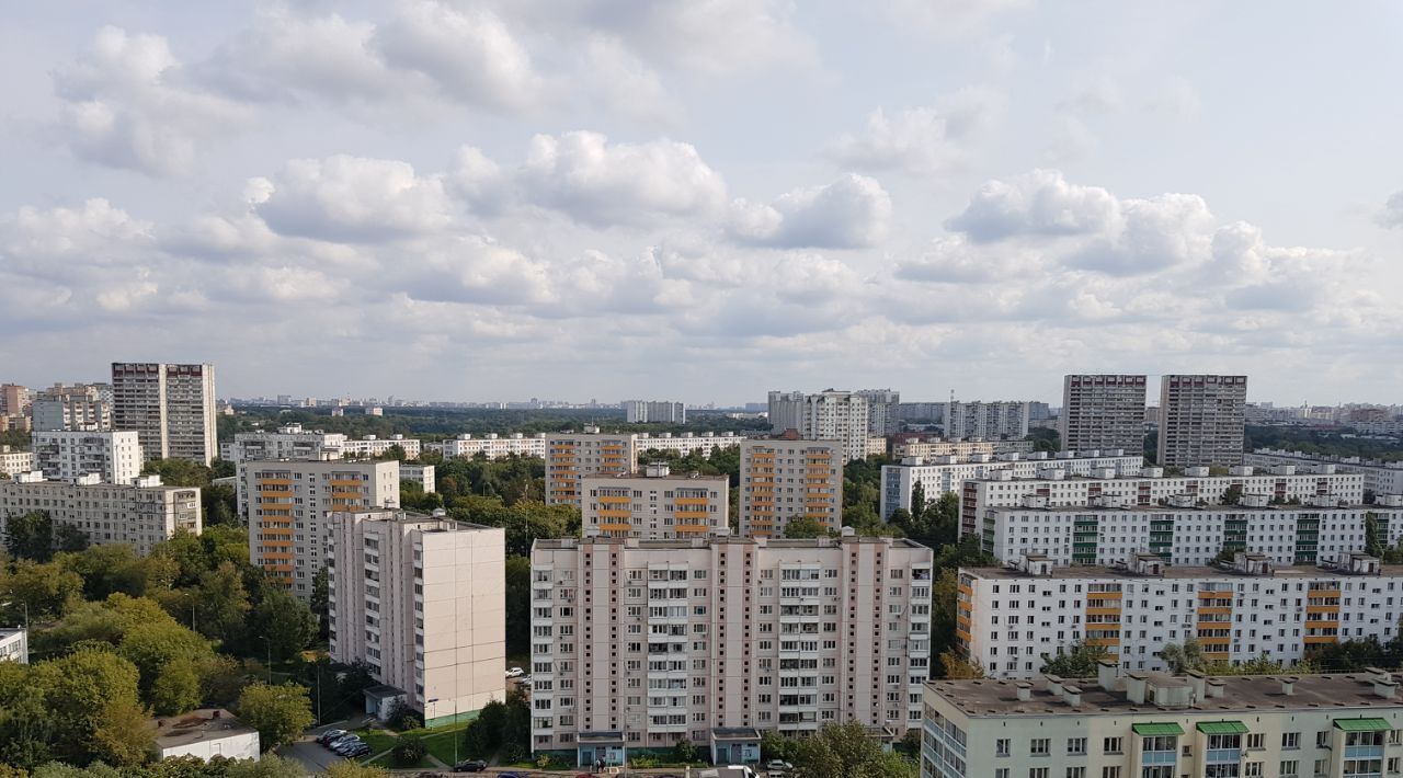 квартира г Москва метро Печатники ул Гурьянова 17к/1 фото 14