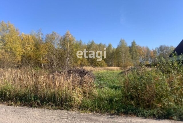 ул Рябиновая фото