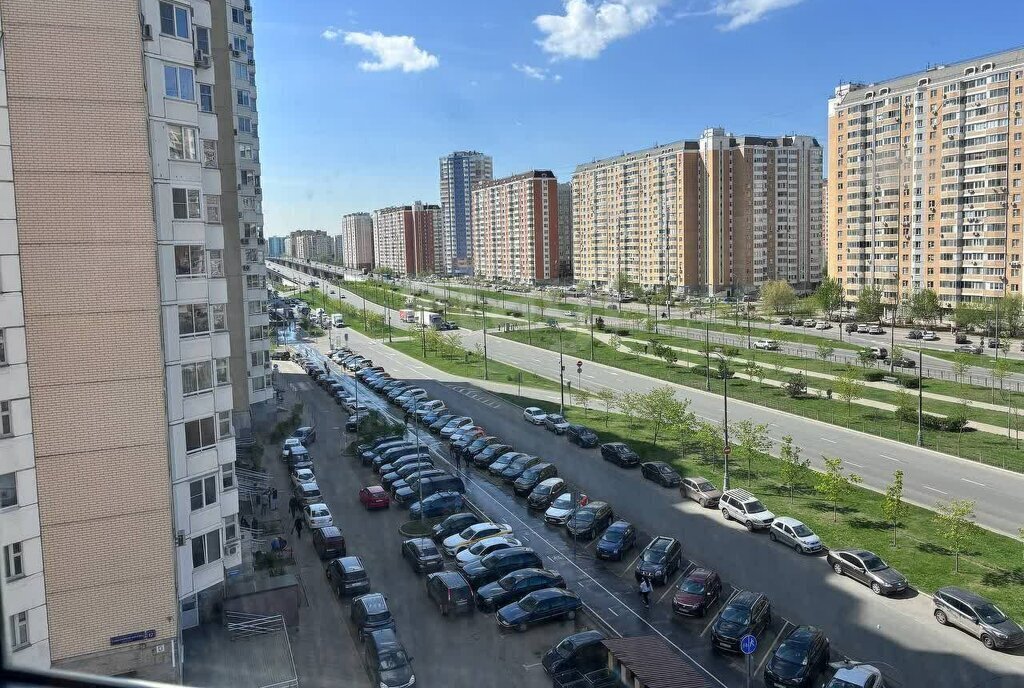квартира г Москва метро Некрасовка пр-кт Защитников Москвы 14 Московская область фото 26