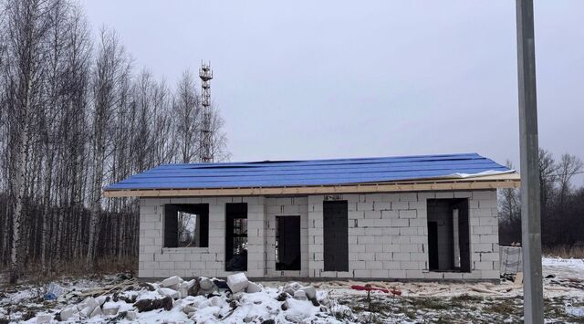 с. Зиняки фото