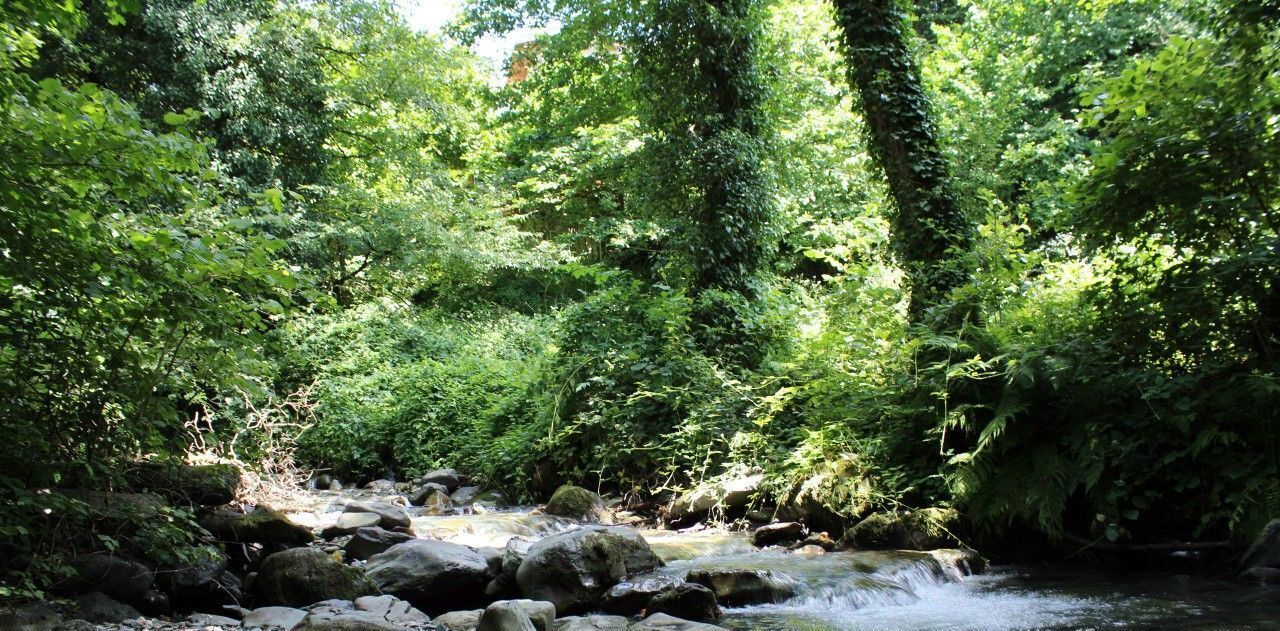 дом г Сочи пгт Красная Поляна ул ГЭС 2 фото 33