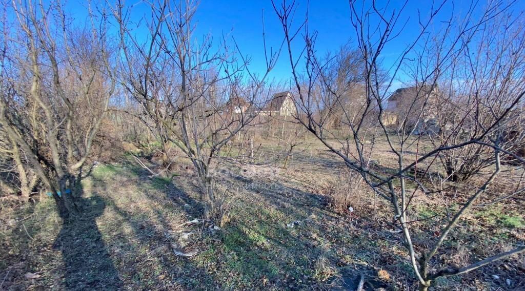 земля г Феодосия Очистные садовые участки, ул. Облепиховая фото 1