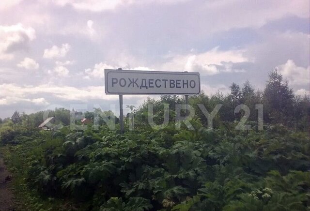 55 км, Гатчинский муниципальный округ, Р-23, 78-й километр, Киевское шоссе фото