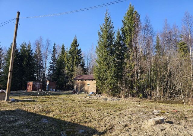 снт Соснячок Красные Ткачи фото