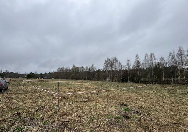 снт Озеро Врево Киевское шоссе, 137 км, Скребловское сельское поселение, Луга фото