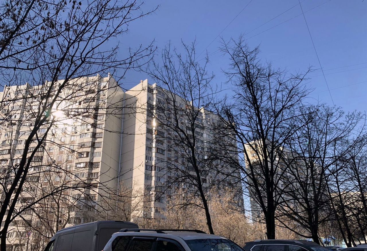 квартира г Москва метро Кузьминки пр-кт Волгоградский 111к/2 фото 8