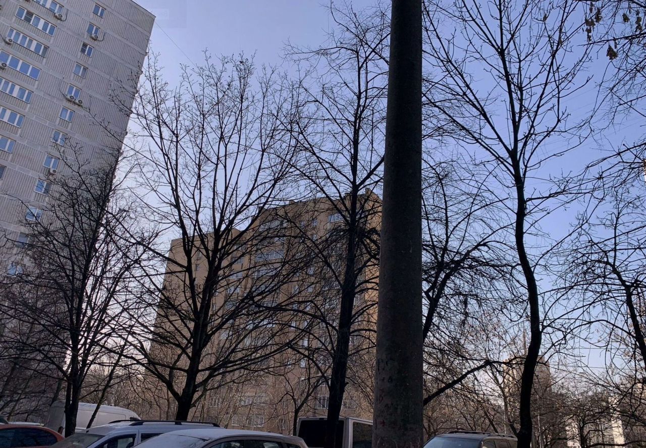 квартира г Москва метро Кузьминки пр-кт Волгоградский 111к/2 фото 11