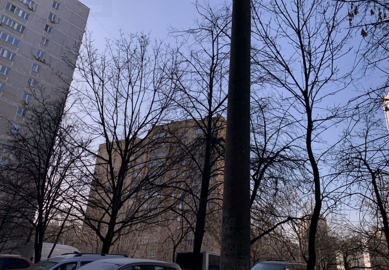 квартира г Москва метро Кузьминки пр-кт Волгоградский 111к/2 фото 12