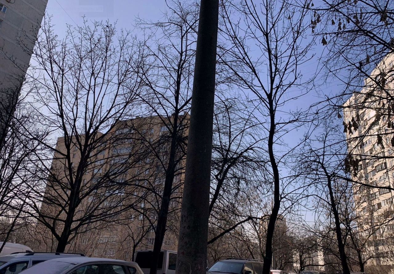 квартира г Москва метро Кузьминки пр-кт Волгоградский 111к/2 фото 15