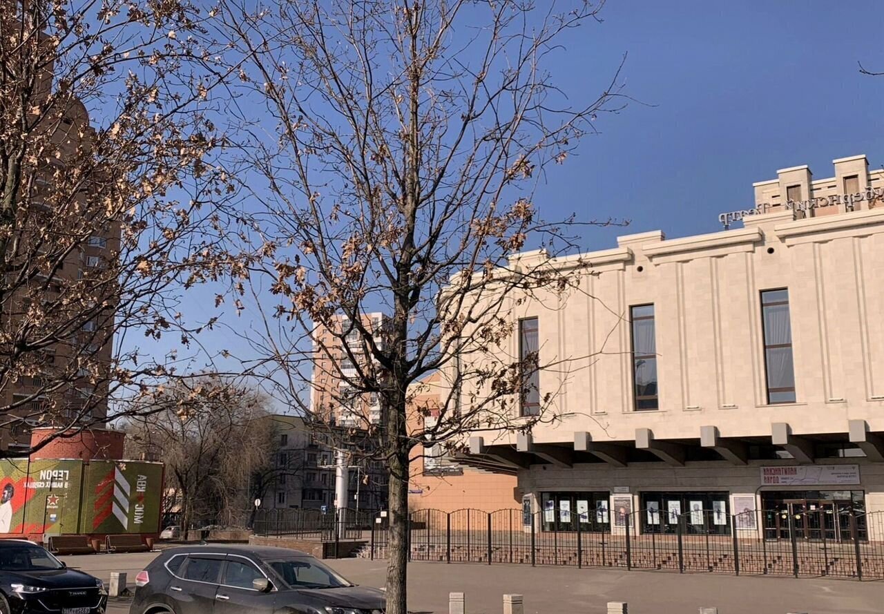 квартира г Москва метро Кузьминки пр-кт Волгоградский 111к/2 фото 34