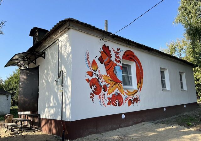 с Дмитряшевка ул Свердлова 182 Дмитряшевский сельсовет, Хлевное фото