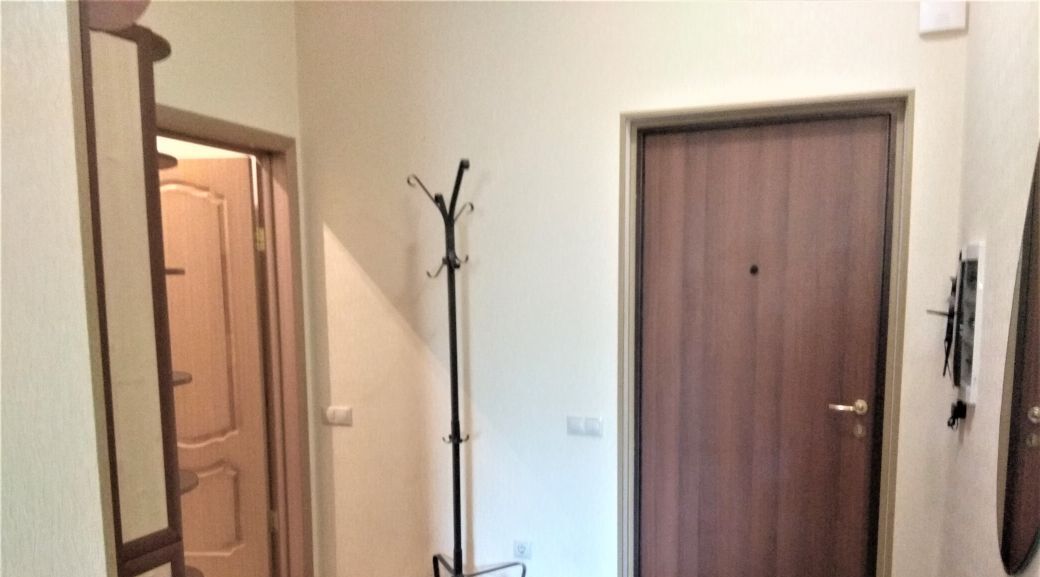 квартира г Москва п Первомайское ул Центральная 24 Крёкшино фото 21