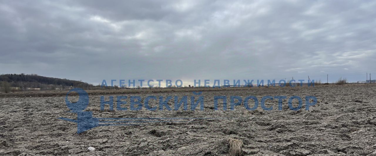 офис г Санкт-Петербург п Шушары ш Петербургское метро Московская фото 30
