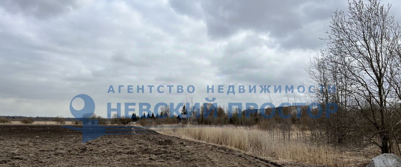 офис г Санкт-Петербург п Шушары ш Петербургское метро Московская фото 29