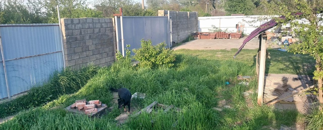 земля г Краснодар ст-ца Елизаветинская снт Кубаночка р-н Прикубанский фото 2