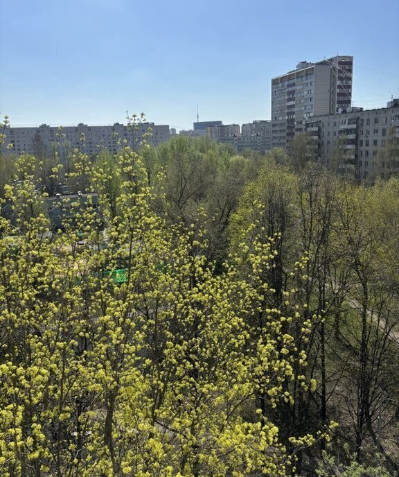 квартира г Москва метро Отрадное ул Бестужевых 21в фото 19