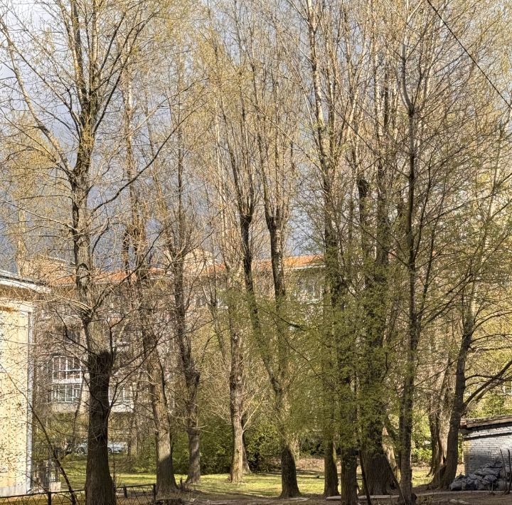 квартира г Санкт-Петербург метро Кировский Завод ул Новостроек 12 фото 21