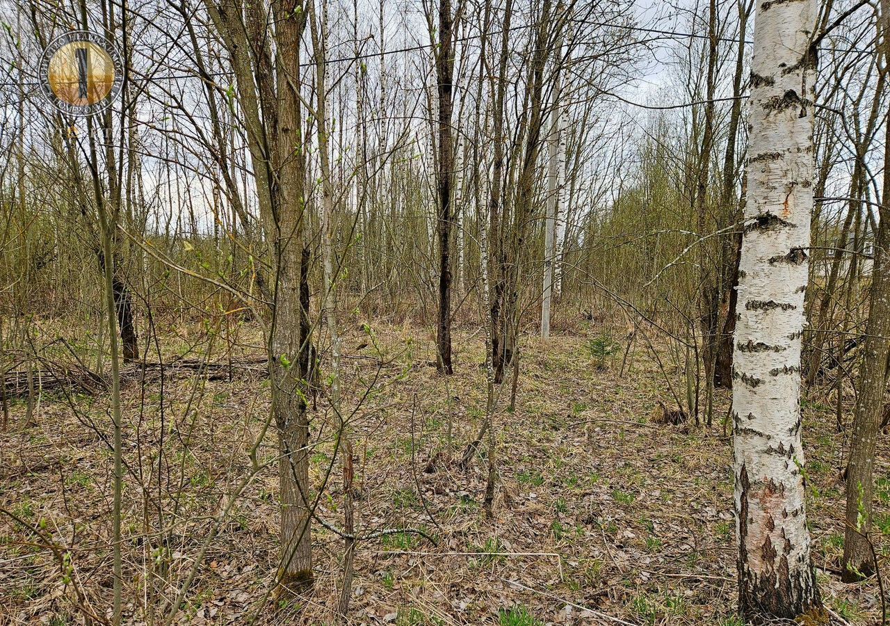 земля г Череповец р-н Зашекснинский ул Липецкая фото 2