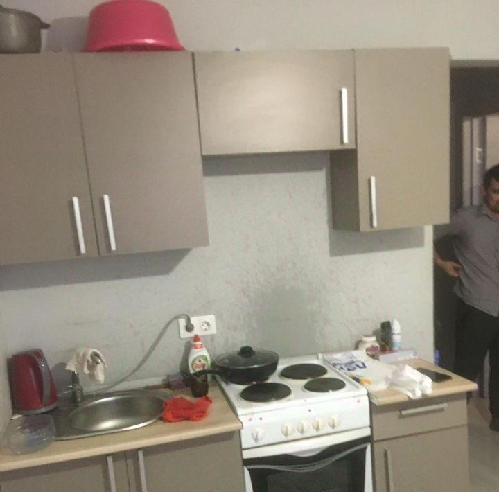 квартира г Санкт-Петербург п Шушары ш Московское 256к/8 метро Купчино фото 1