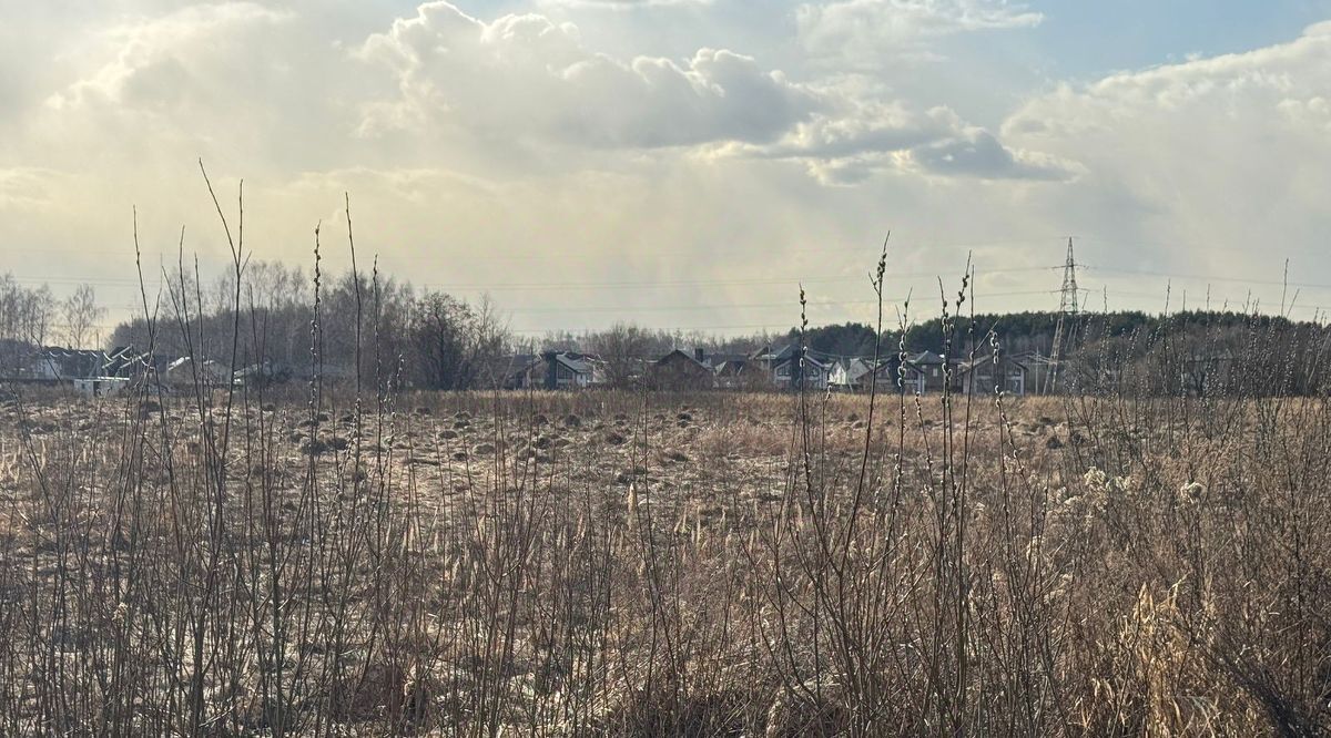 земля городской округ Богородский г Ногинск пос. Жуково фото 1
