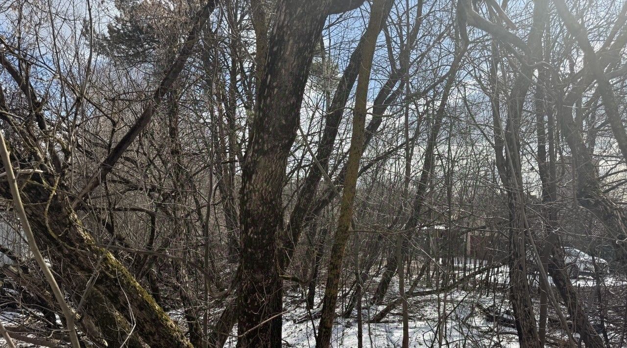 офис г Ивантеевка ул Рабочая Пушкинский городской округ фото 2