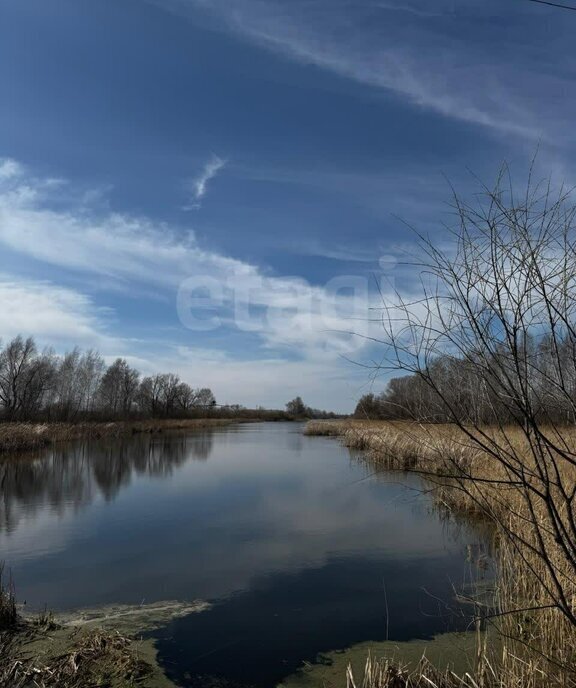 дом г Новосибирск снт Ивушка ул Зеленая Криводановский сельсовет фото 15