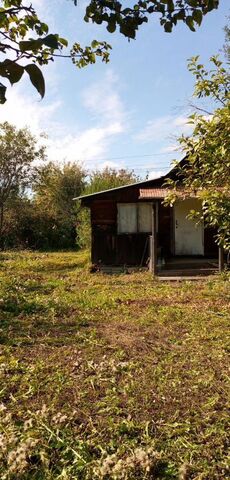 СДТ Венера, 186 фото