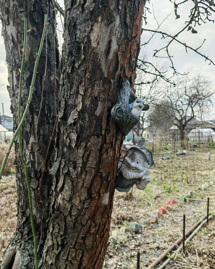 земля г Бор снт тер.Стеклозаводец фото 17