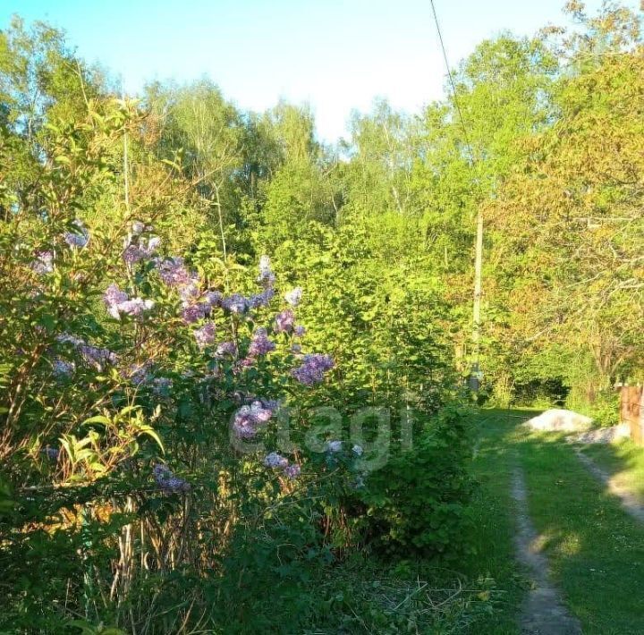 земля р-н Гурьевский г Гурьевск снт Парус пер Луговой фото 8