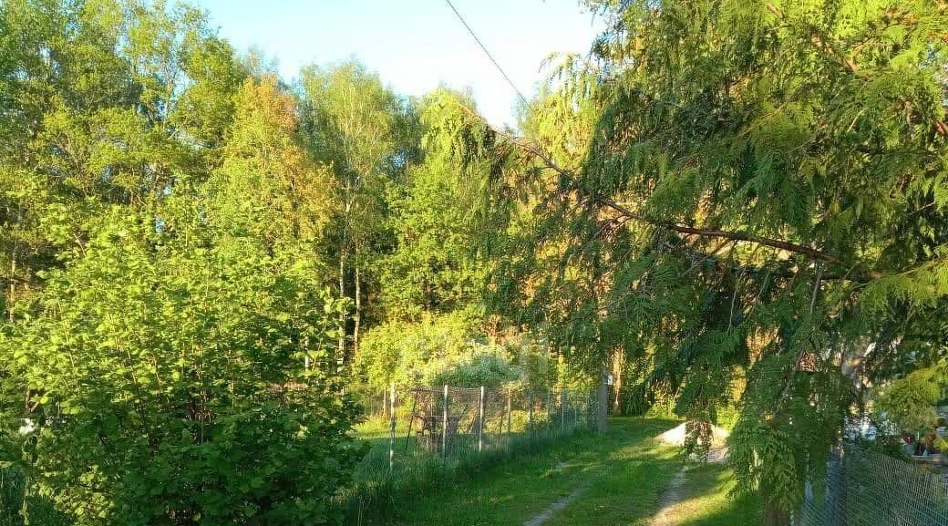земля р-н Гурьевский г Гурьевск снт Парус пер Луговой фото 13