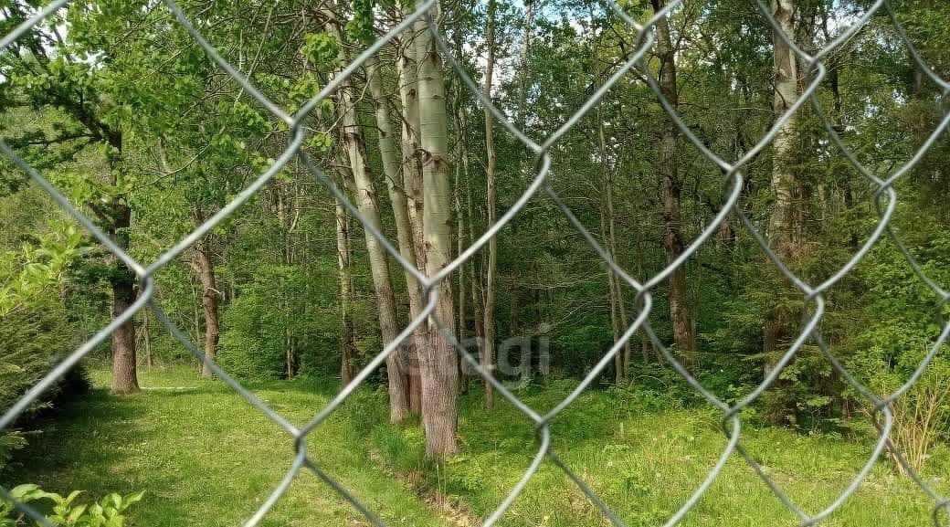 земля р-н Гурьевский г Гурьевск снт Парус пер Луговой фото 22