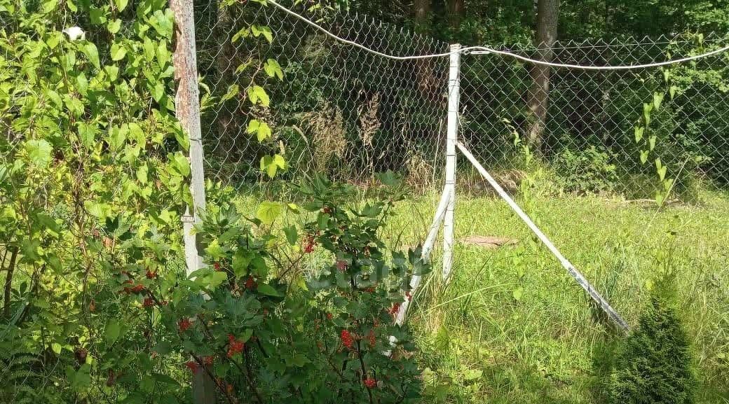 земля р-н Гурьевский г Гурьевск снт Парус пер Луговой фото 39
