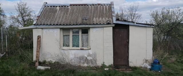 Шварцевское, муниципальное образование фото
