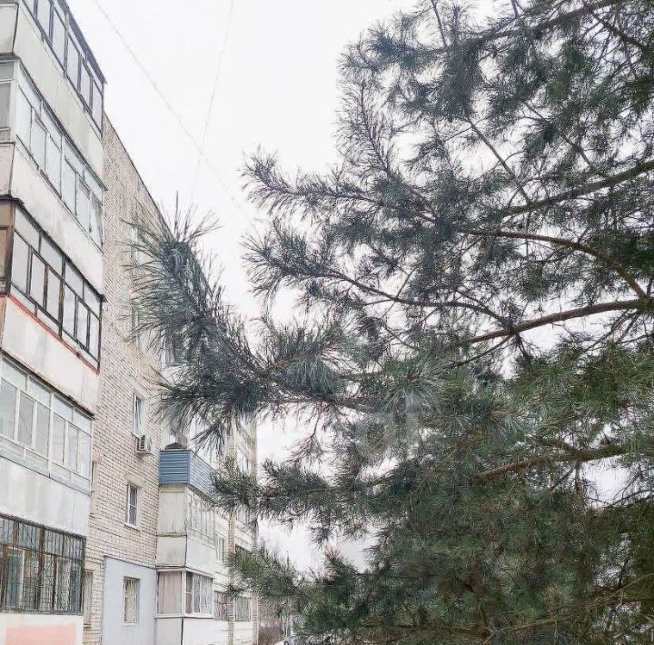 квартира г Ярославль р-н Заволжский ул Папанина 10 фото 16