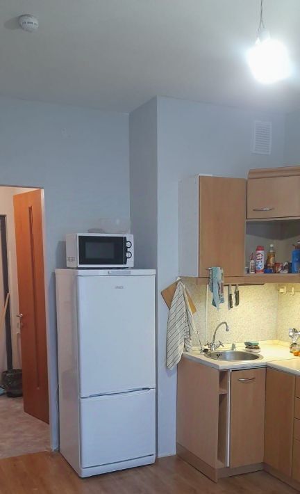 квартира г Санкт-Петербург метро Ломоносовская ул Русановская 20к/1 фото 2