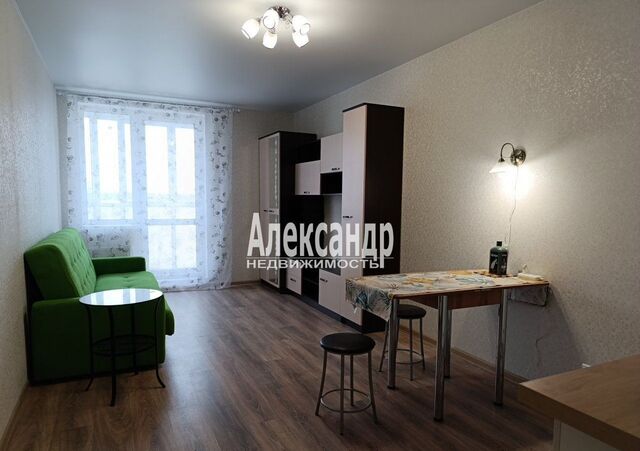 ул Заводская 18к/2 Заневское городское поселение, городской пос. Янино-1 фото