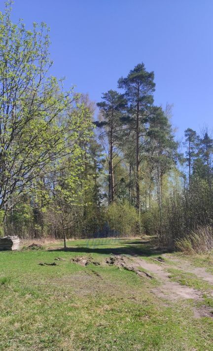 дом р-н Городецкий г Заволжье снт тер.СМУ-2 и Дом Ребенка фото 21