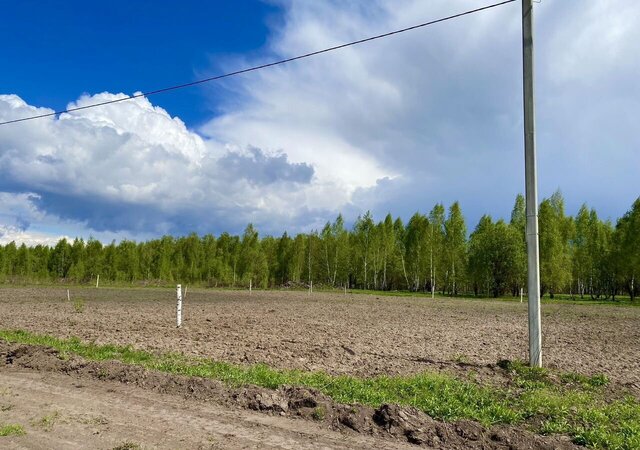 п Новый Колодец Долбенкинское сельское поселение, Курская область, Железногорск фото