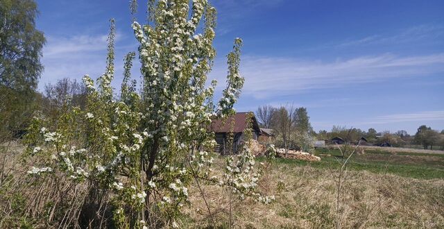 д Плоское Починок фото