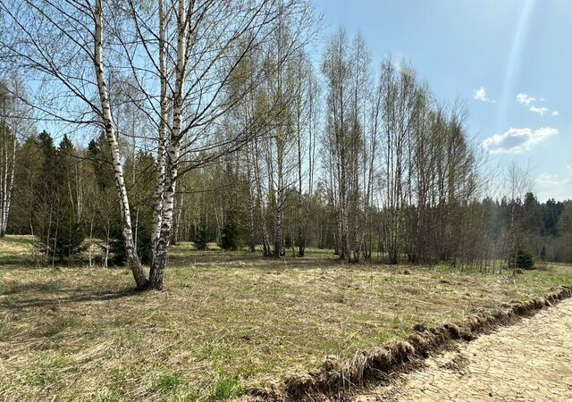 18 км, коттеджный пос. Новое Фелисово, Марфино, Дмитровское шоссе фото