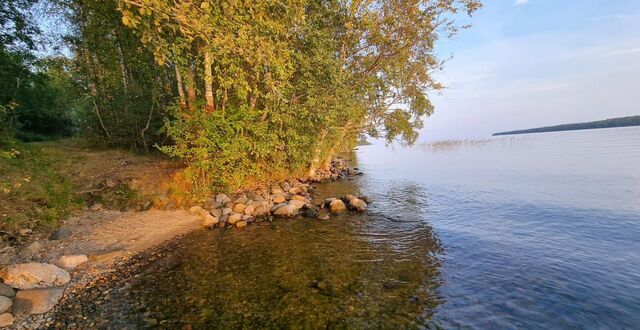 Заозерское сельское поселение, Петрозаводск фото