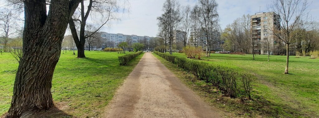 квартира г Санкт-Петербург метро Международная ул Софийская 34к/2 фото 15